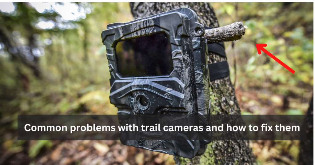 Common problems with trail cameras and how to fix them