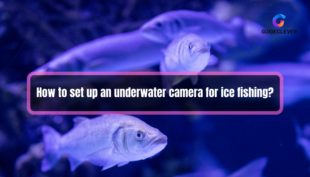 How to set up an underwater camera for ice fishing
