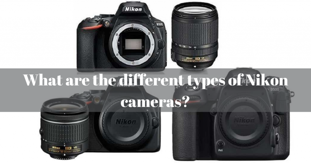 What are the different types of Nikon cameras available on the market today?
