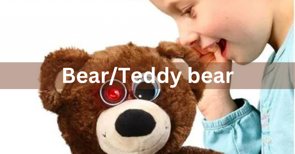 Bear/Teddy bear