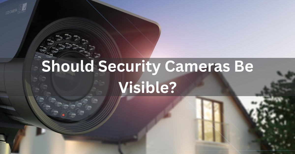 Should Security Cameras Be Visible