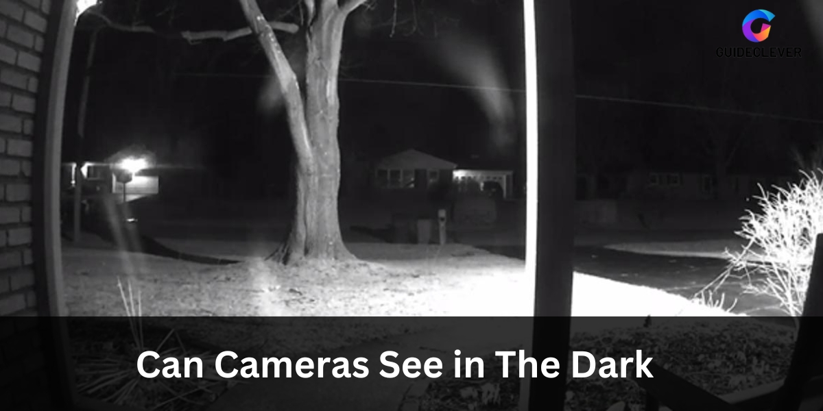 Can Cameras See in The Dark