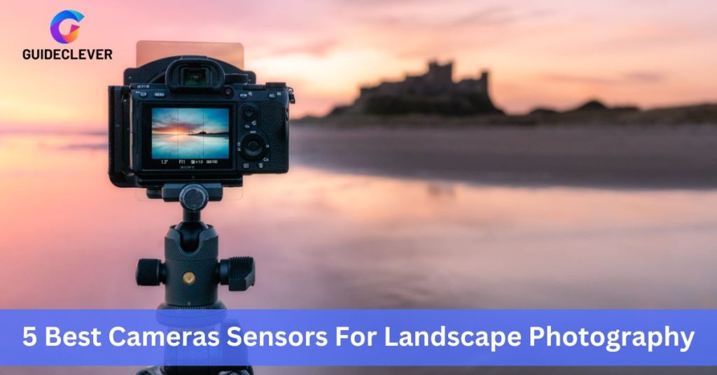 5 Best Cameras Sensors For Landscape Photography