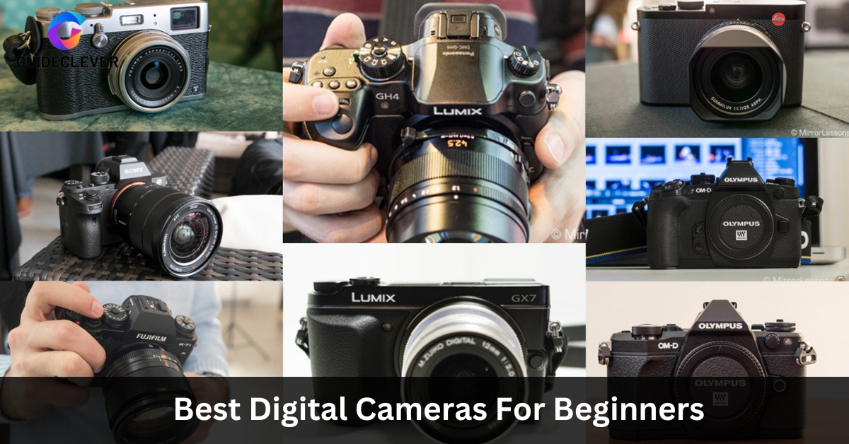 Best Digital Cameras For Beginners