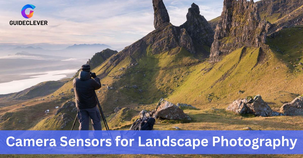 Camera Sensors For Landscape Photography