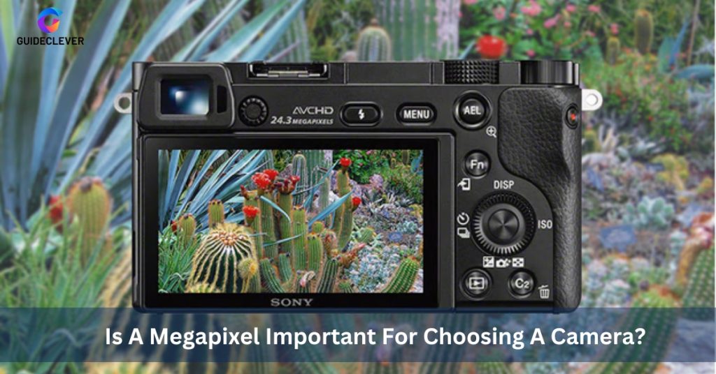 Is A Megapixel Important For Choosing A Camera