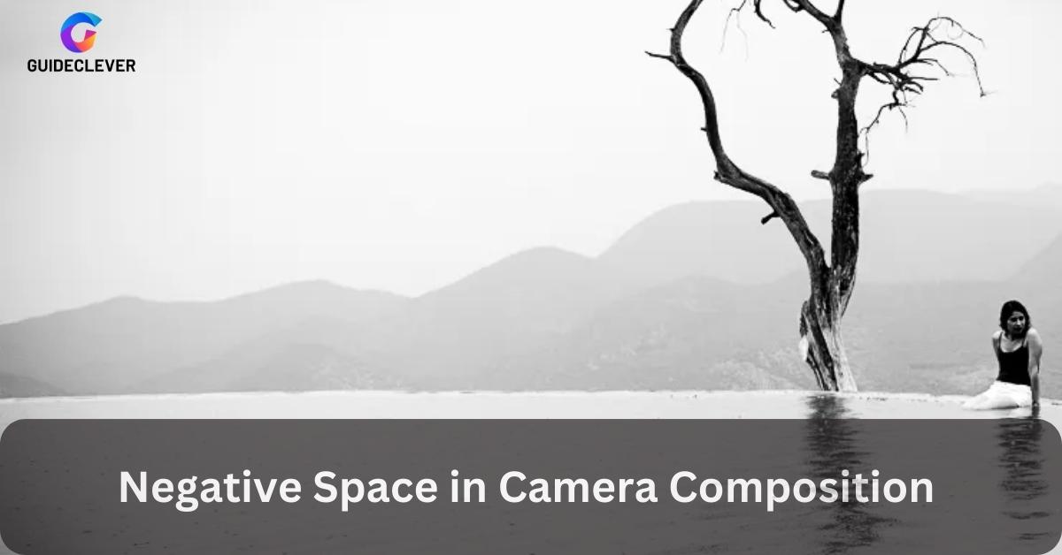 Power of Negative Space in Camera Composition