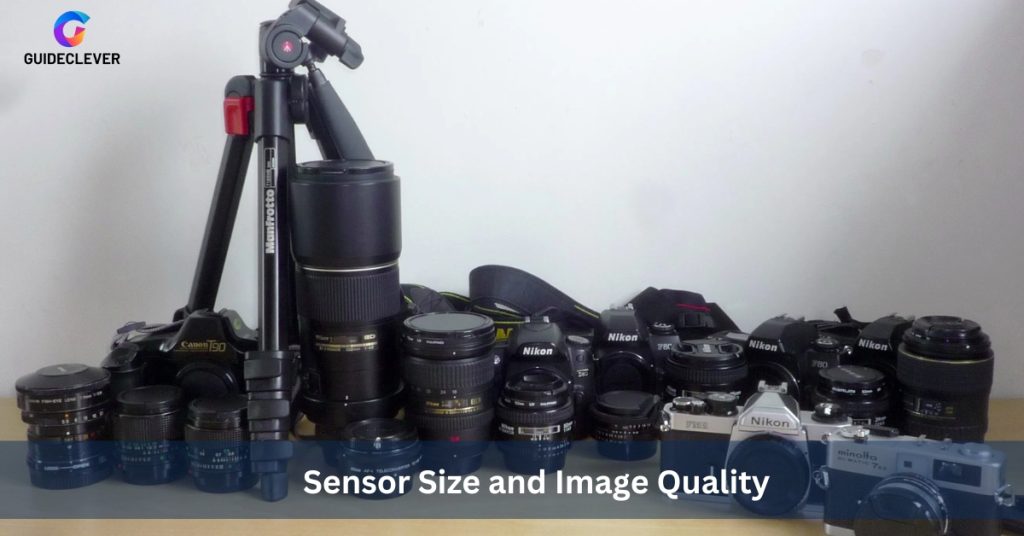 Sensor Size and Image Quality