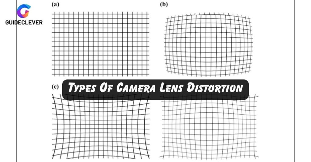 Types Of Camera Lens Distortion