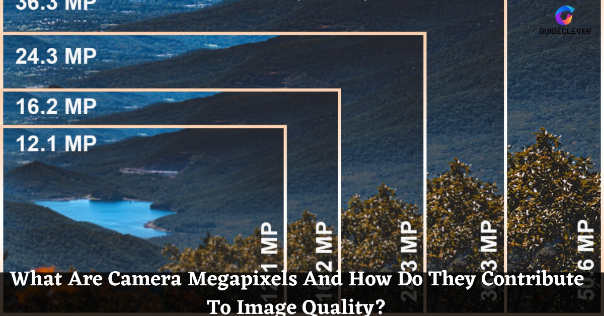 What Are Camera Megapixels And How Do They Contribute To Image Quality
