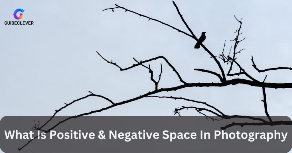 What Is Positive & Negative Space In Photography (Defining Both 2 Spaces)