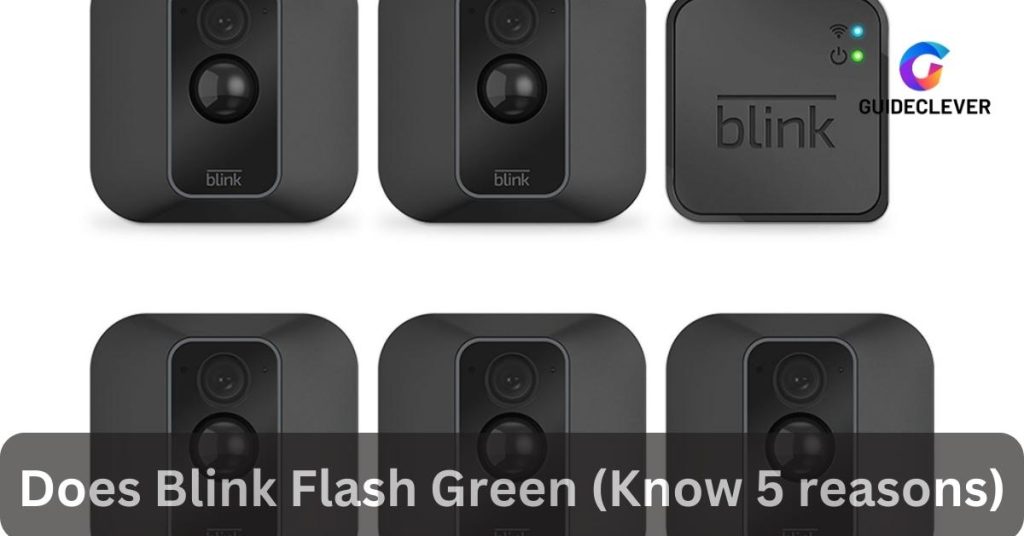 Does Blink Flash Green (Know 5 Reasons)