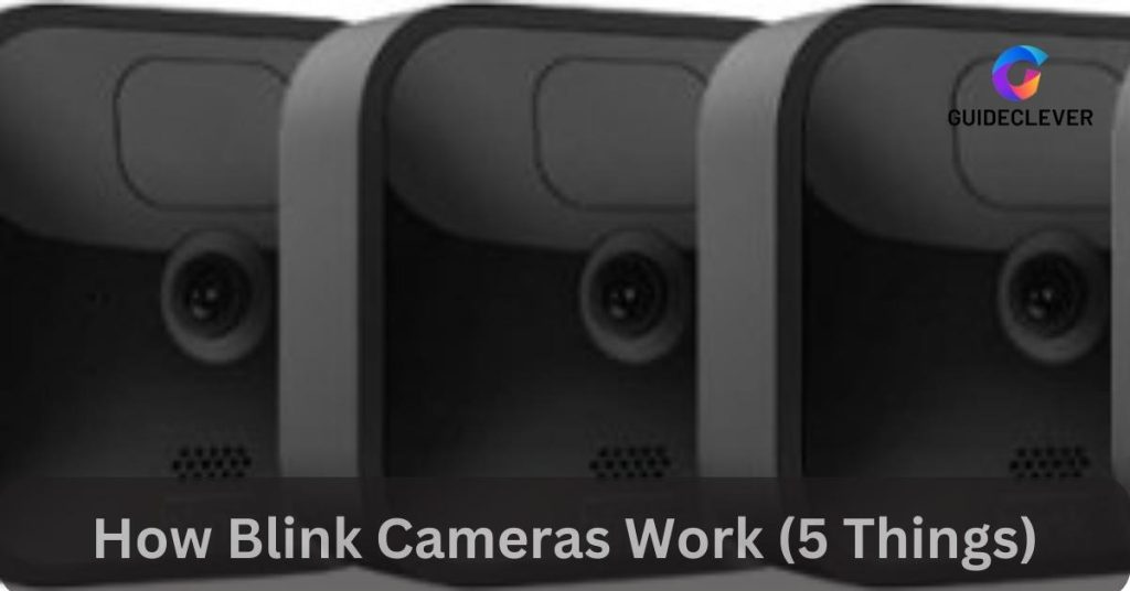 How Blink Cameras Work (5 Things)