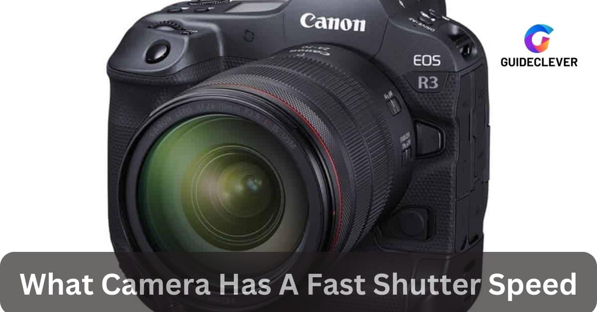 Camera Has A Fast Shutter Speed