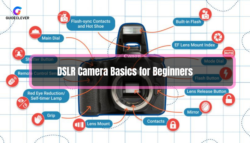 DSLR Camera Basics for Beginners