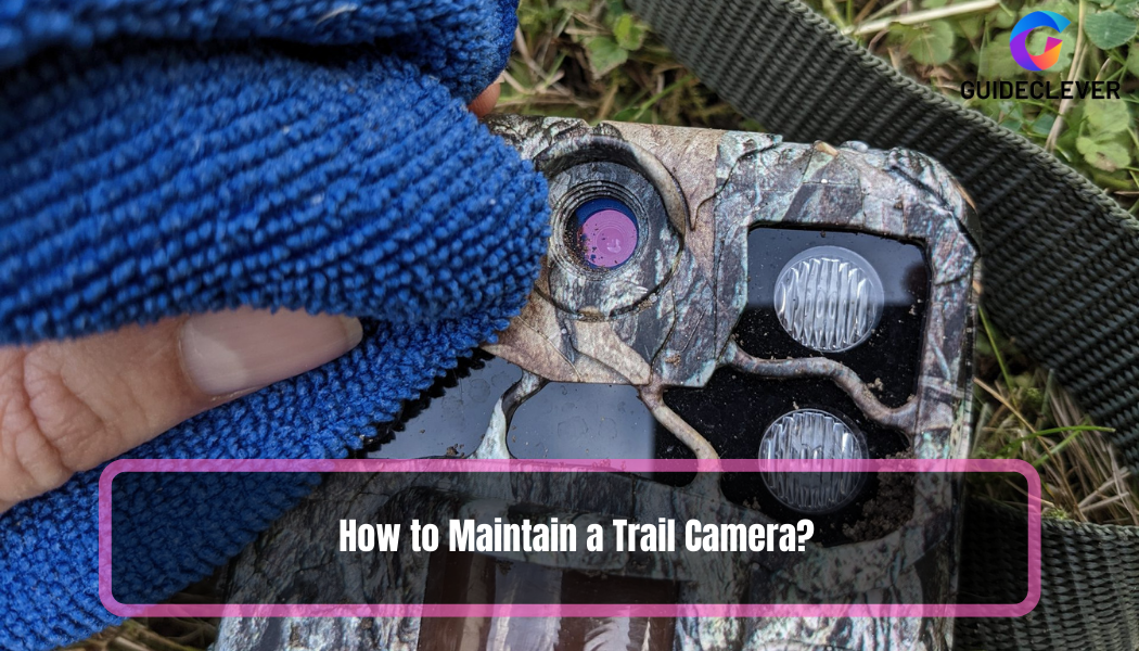 How to Maintain a Trail Camera