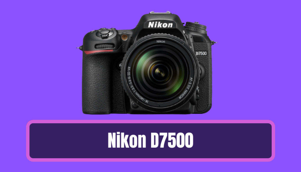 Nikon D7500 Nikon Cameras Buying Guide and Recommendations