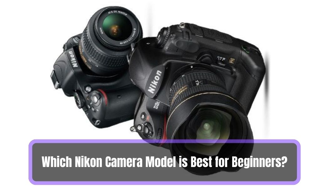 Which Nikon Camera Model is Best for Beginners