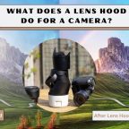 What Does a Lens Hood Do for a Camera?