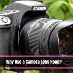 Why Use a Camera Lens Hood 1